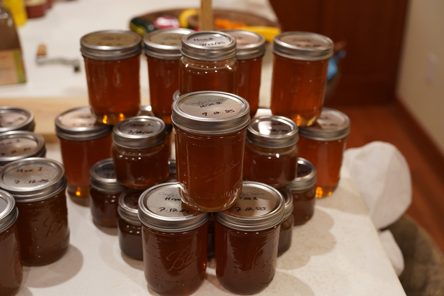 First honey harvest from Hive Two.