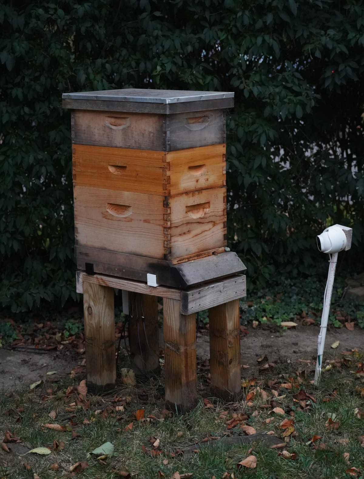 Hive One in the usual Winter configuration of one deep and two mediums.