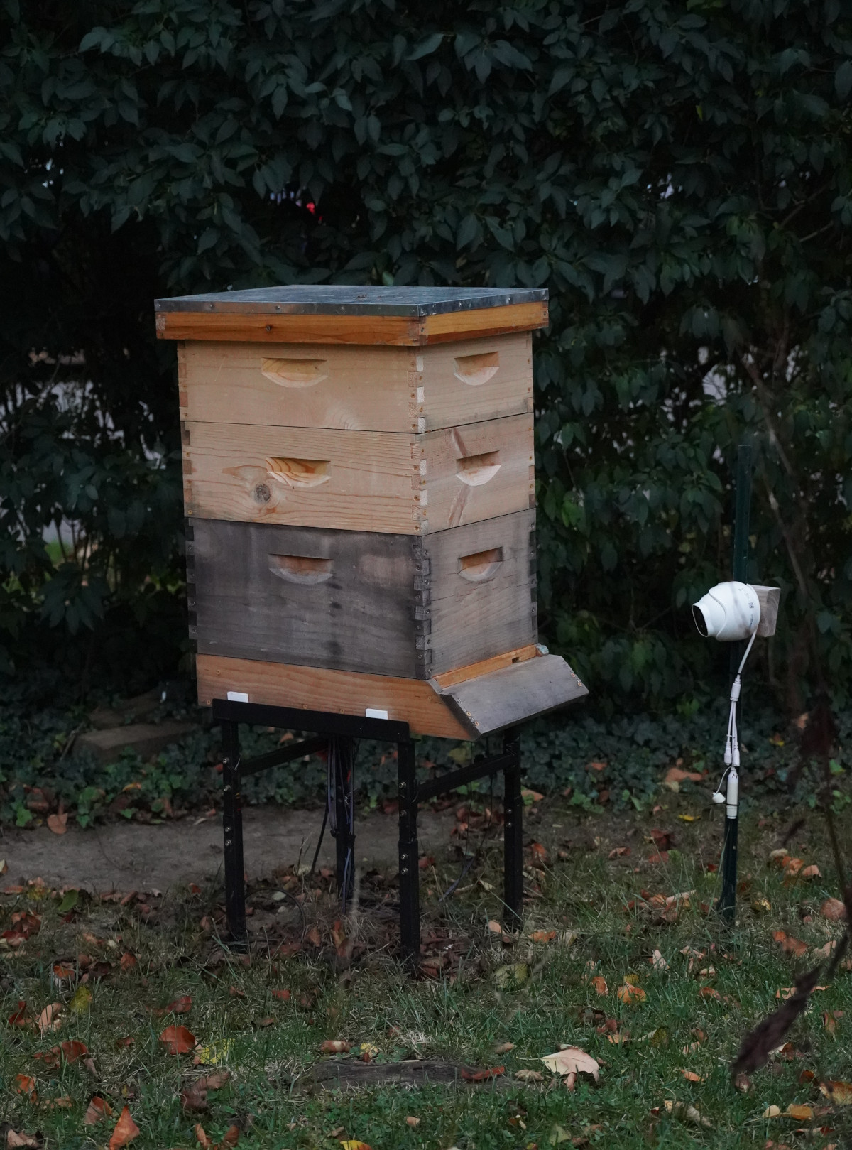 Hive Two in the usual Winter configuration of one deep and two mediums.