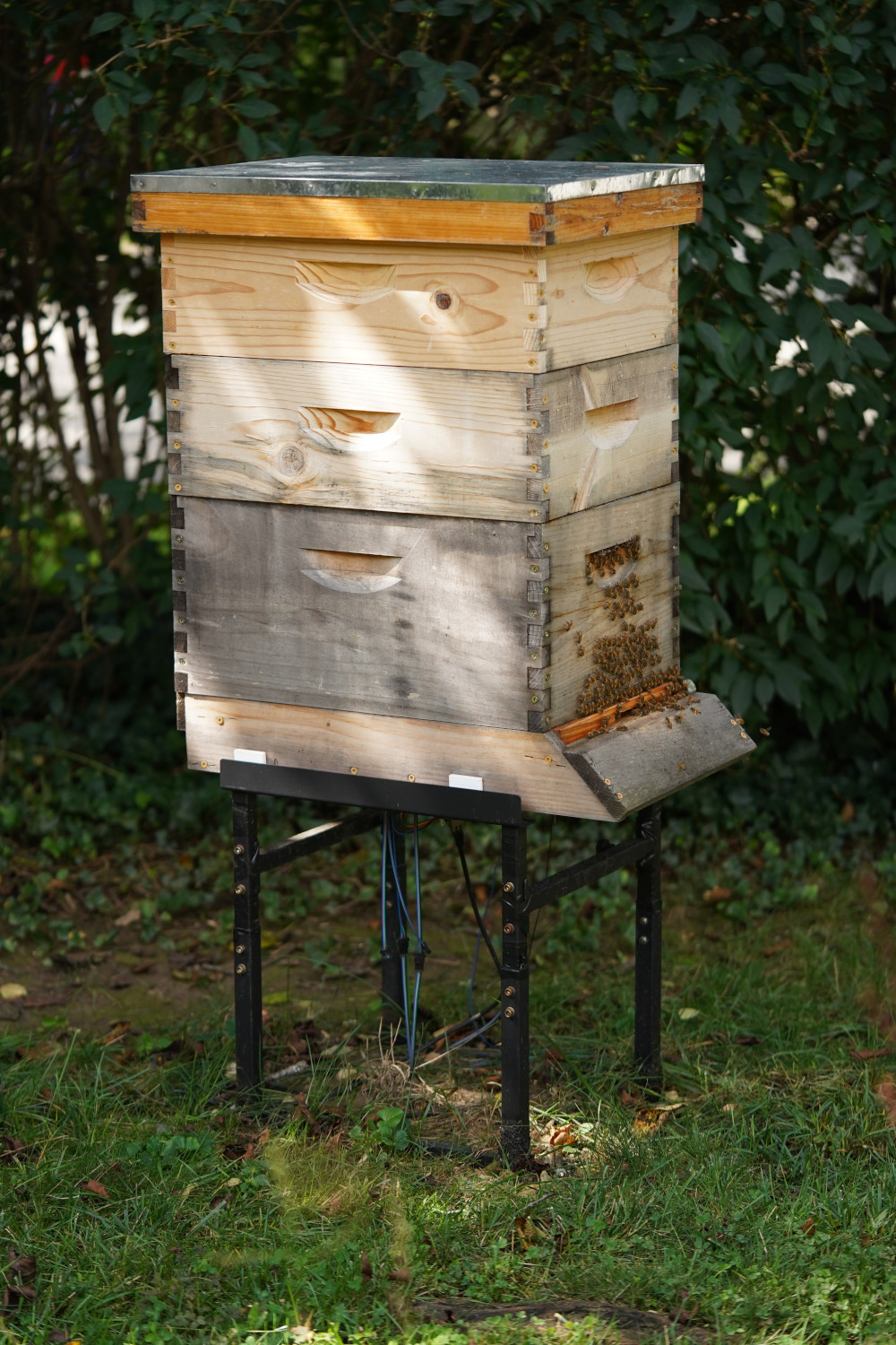 Hive two from September 2026.