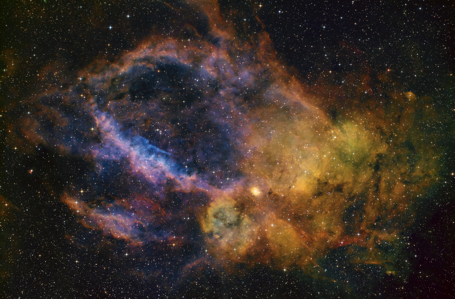 The Newt rig with the narrowband filters was set to capture the Lobster Claw Nebula, Sh2-157, an H II emission region located roughly 11,000 light-years away on the Cassiopeia–Cepheus border, spanning over 90 arcminutes (about three Full Moons) across. The gas is ionized primarily by massive O-type stars and the Wolf-Rayet star WR 157, and glows bright in Sii_{ii} Hα_\alpha, Oiii_{iii}. Its structure features prominent, curved hydrogen filaments wrapping around a distinct Oiii_{iii}-rich interior cavity.
