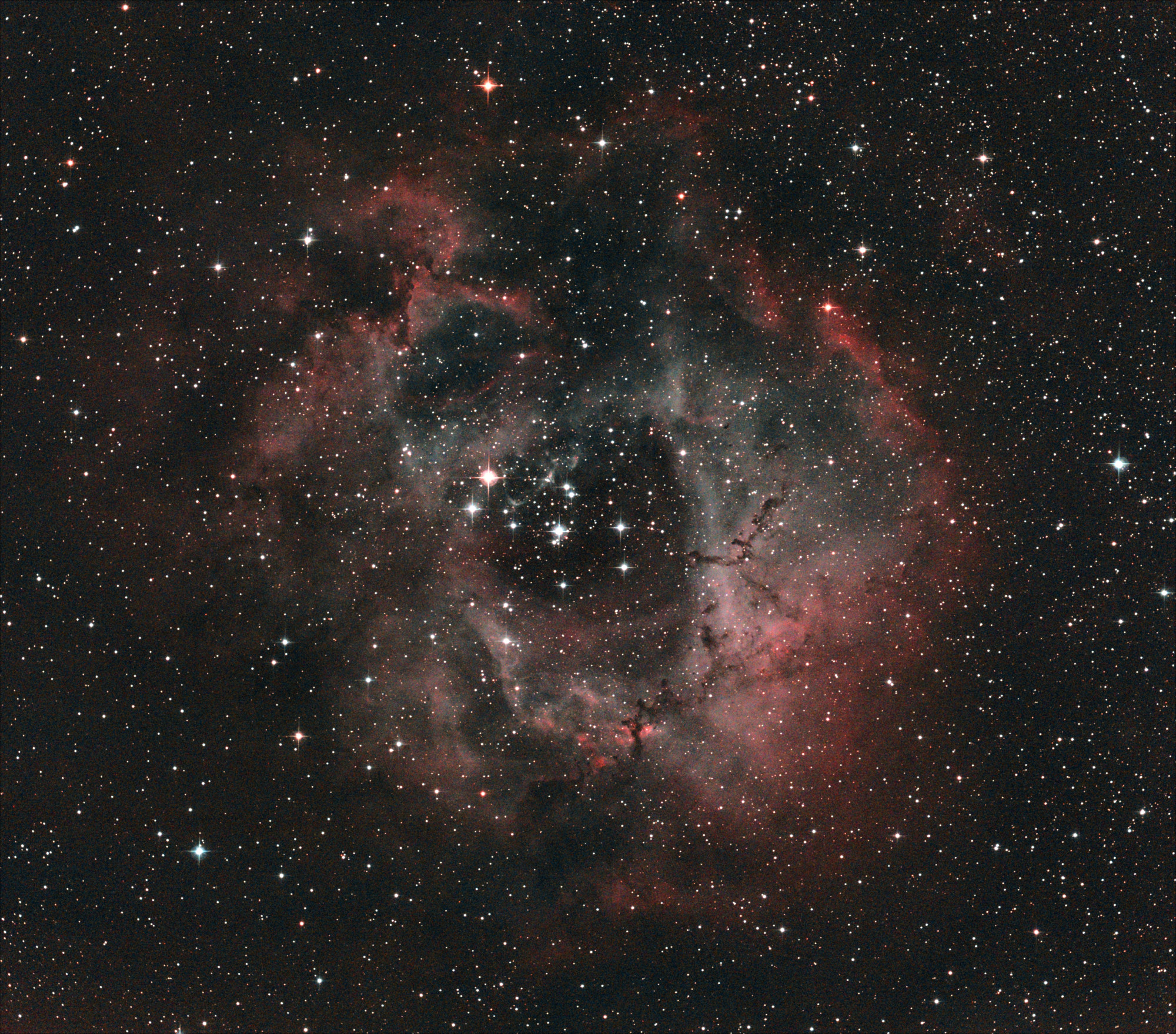 C49 from December 22, 2023 - $6 \times 10 \mathrm{min}$ UCH filtered exposures (1hr total) with the α7C. Acquired with NINA and PHD2. Processed with Siril. Click for full resolution.