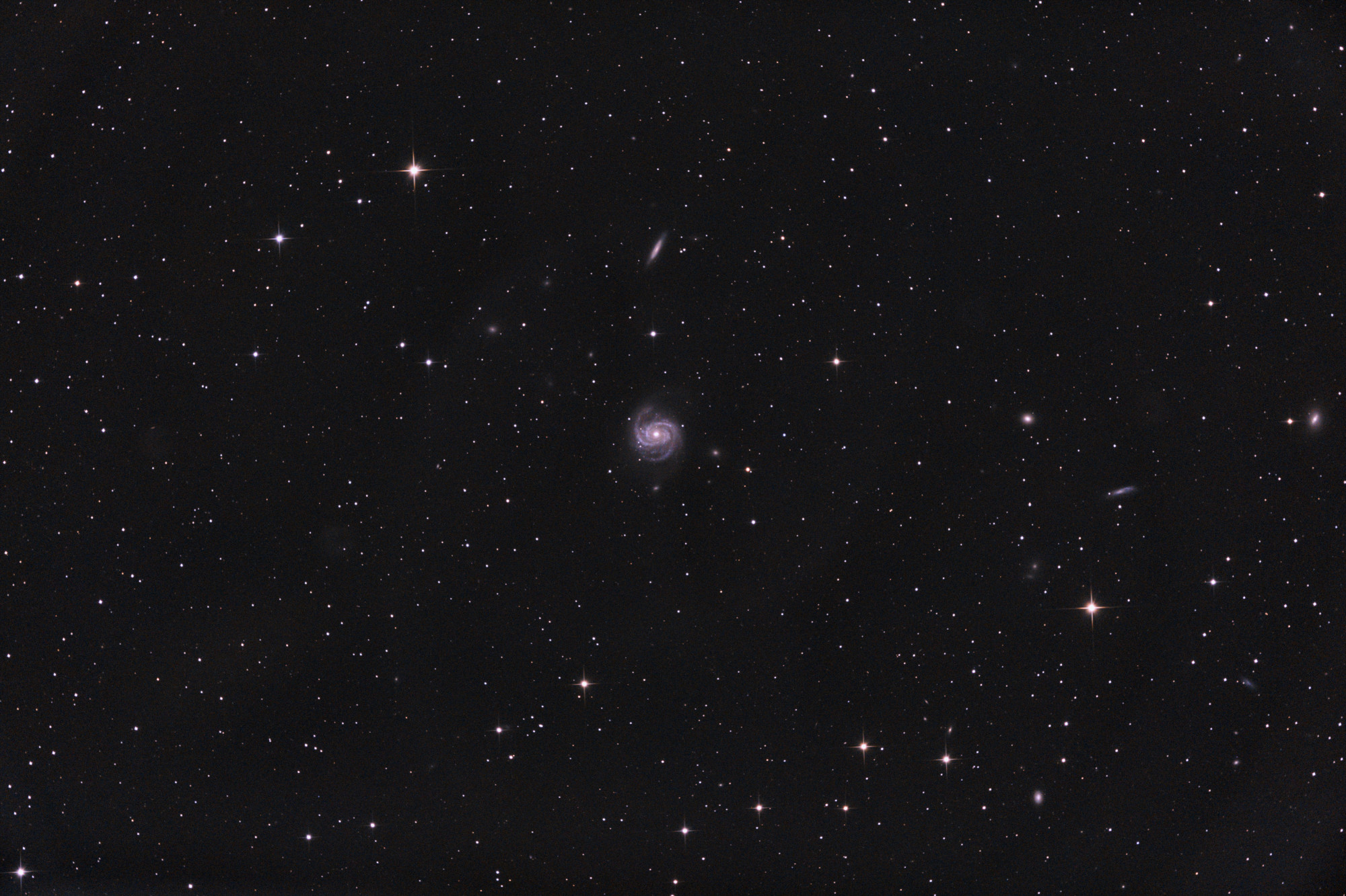 M100 from April 14, 2024 &ndash; $65 \times 4 \mathrm{min}$ exposures (4h20m total) with the α7C. Acquired with INDI + KStars/Ekos. Processed with Siril.