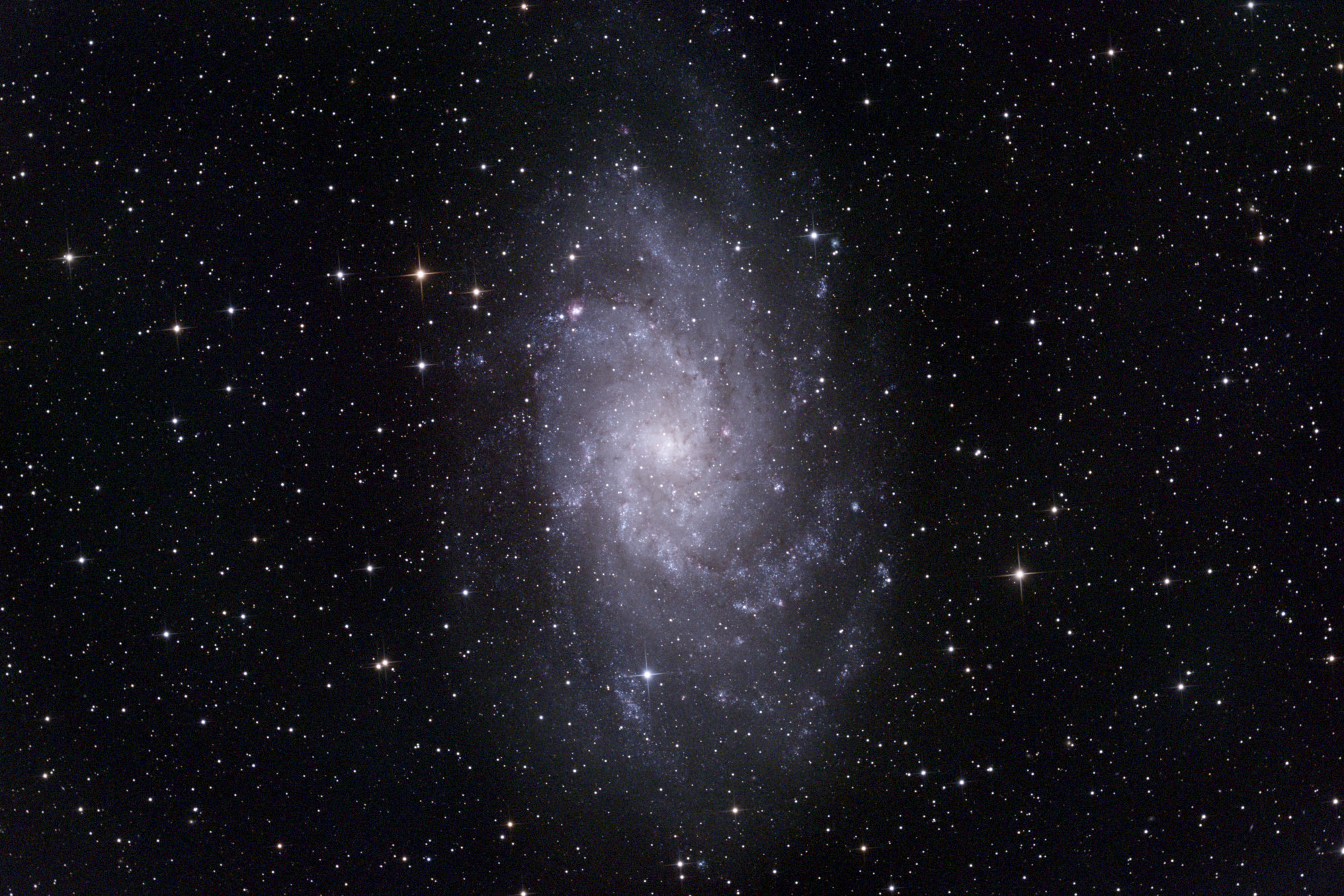 M33 from September 7, 2024 &ndash; $40 \times 5 \mathrm{min}$ exposures (3h20m total) with the ASI2600MC-Pro @ -10C. Acquired with INDI + KStars/Ekos. Processed with oscdeeppy. Click for full resolution.