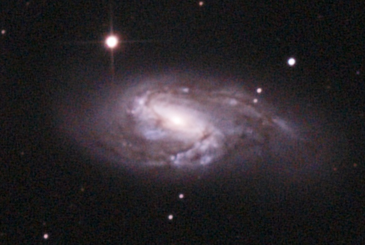 M66 has a similar look to the Whirlpool galaxy, and both are nearly face-on.