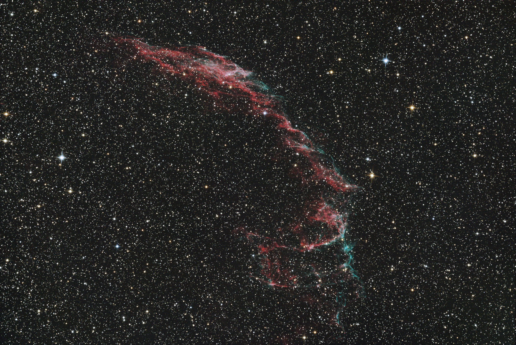 NGC6992 from Sept 4, 2024 &ndash; $20 \times 5 \mathrm{min}$ exposures (1h40m total) with the ASI2600MC-Pro @ -10C. Acquired with INDI + KStars/Ekos. Processed with oscdeeppy. Click for full resolution.