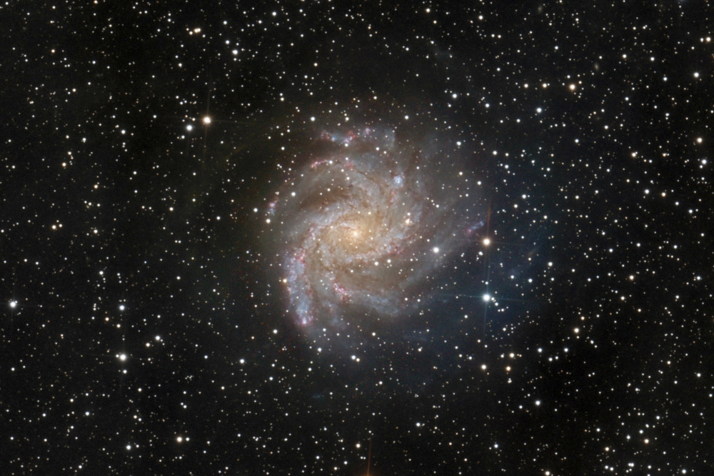5h9m (103 x 3min) Broadband. Processed with GraXpert. Cropped. Bursts of Ha emissions can be seen throughout the spiral arms, presumably giving it the name.