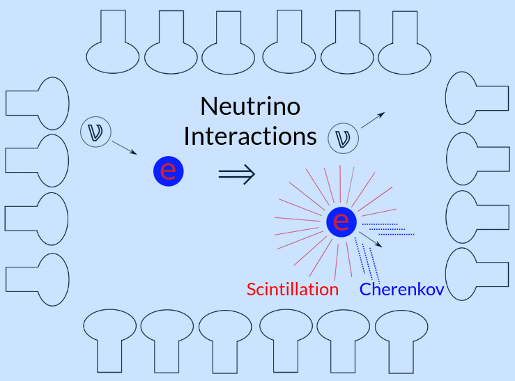 Neutrino interactions produce energetic electrons which in turn produce Cherenkov (directional) and scintillation (isotropic) photons in scintillators.